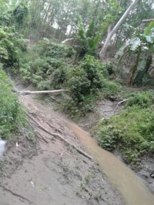 কিনারঞ্জন কার্বারী পাড়ার পাশ দিয়ে বয়ে গেছে বামে গোমতী ছড়া
