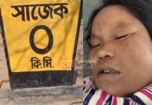 Pregnant Woman Killed in Collision Involving BGB Vehicle on Sajek Road