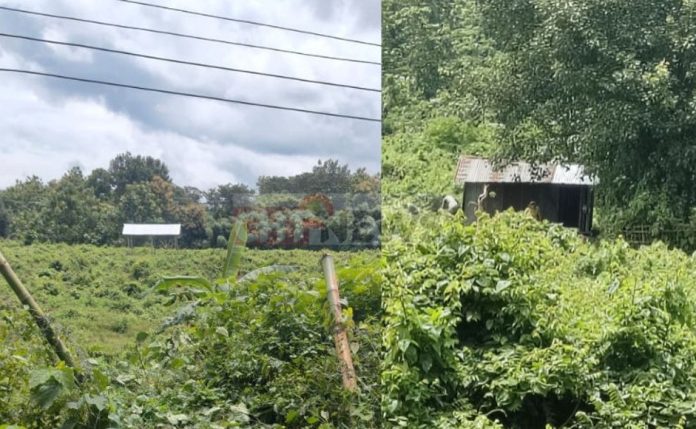 গামারিঢালায় সেটলারদের ঘর নির্মাণ২