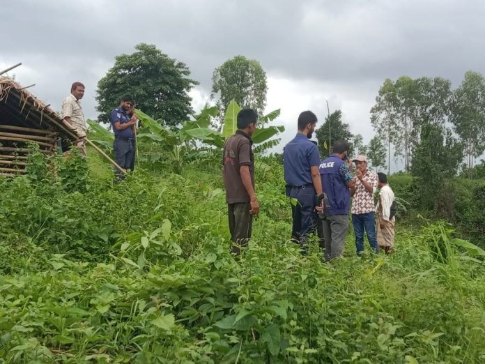 লামায় মেরিডিয়ান কোম্পানি কর্তৃক ম্রোদের জমি বেদখলেল চেষ্টা